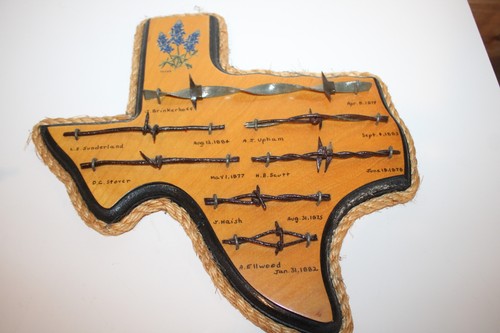 Vintage Texas Barbed Wire Wall Art Plaque Bluebonnet Rustic Western Decor 12.5”