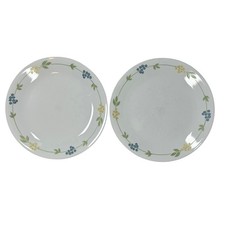 Corelle Dinner Plates 10 1/4" " Secret Garden" Set of 2 Made in USA