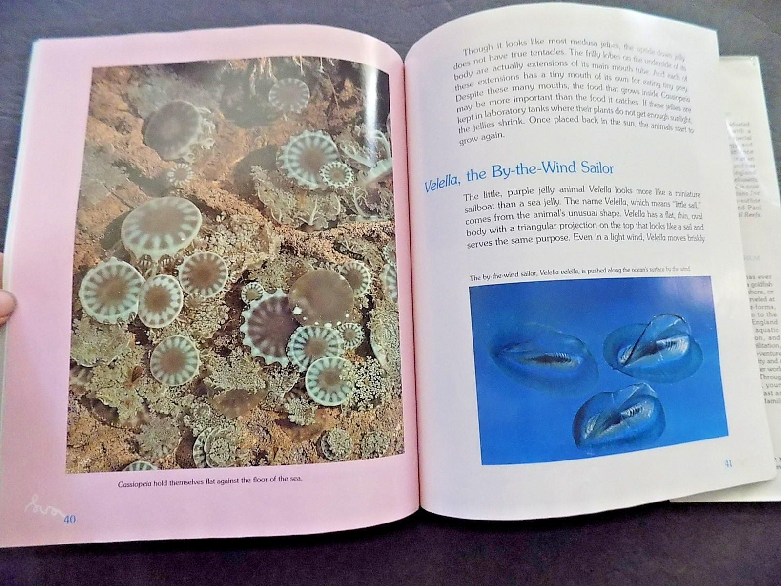 Picture 7 of 13