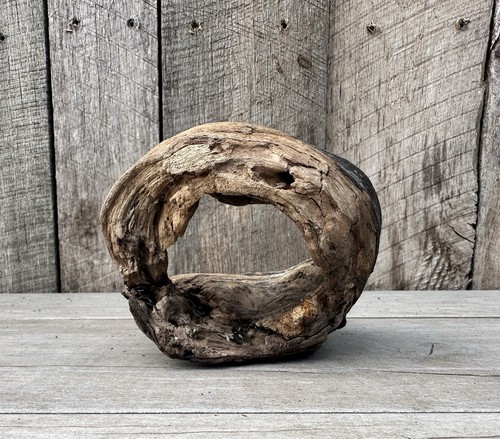 Natural Driftwood Knot Crafts Aquarium Decor Unique Terrarium - Foto 3 di 5