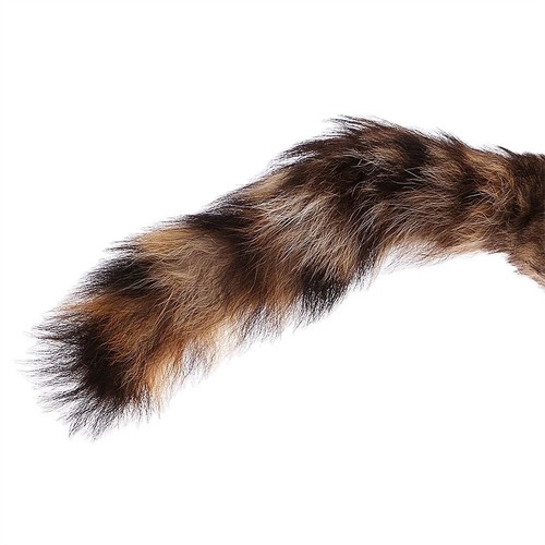 Accesorios de mago mapache rocoso mapache mágico trucos de magia educativos - Imagen 8 de 11