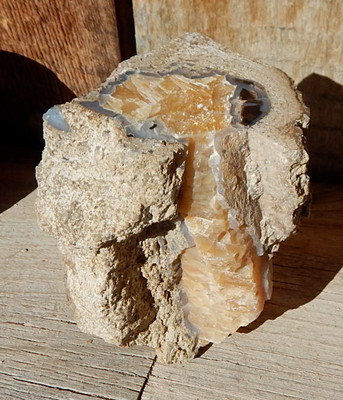 Blue Forest WY Petrified Wood cut/polished gem limb calcite 3''x3''x4.5''-1.5 lbs.