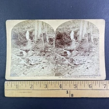 Beechers Falls Crawford Notch New Hampshire Stereoview PRINT ERROR c1870s Y13366
