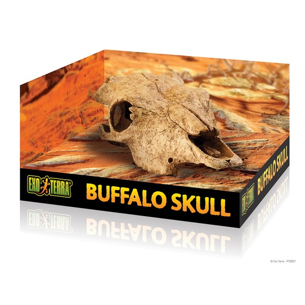 Exo Terra Versteck Buffalo Skull 23X11,5X23Cm FüR Reptilien & Amphibien-image