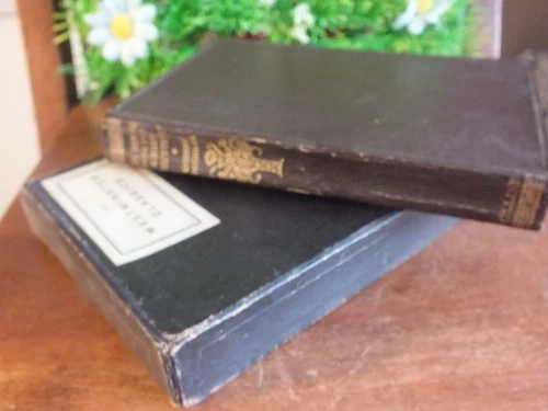 Old Vintage Book In Cardboard Solid Folder "The House With Green Shutters"