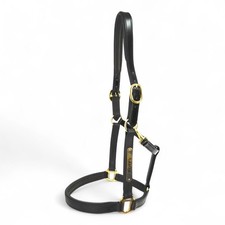 Headcollar - English Leather - Engraved Nameplate - Pony/Cob/Full/Extra Full
