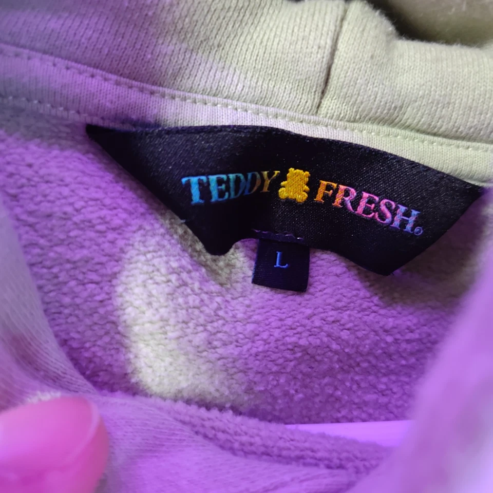Sudadera con capucha bordada Teddy Fresh Bear verde salvia polar talla grande Foto 2 de 4