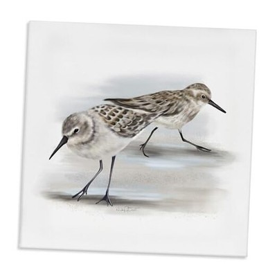  Sandpiper Pair on Sandy Beach Small Nautical 30x30 Gallery Wrapped Canvas
