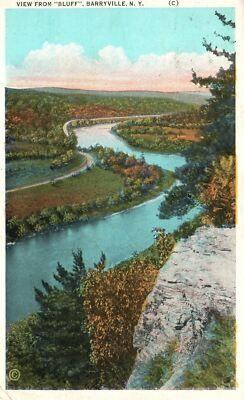 Vintage Postcard 1916 View From Bluff Barryville New York NY H. Mallison Pub.