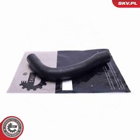 Esen SKV Ladeluftschlauch 43SKV010 FüR Renault Laguna 3 BT0 KT0 Dci BT00 BT0A