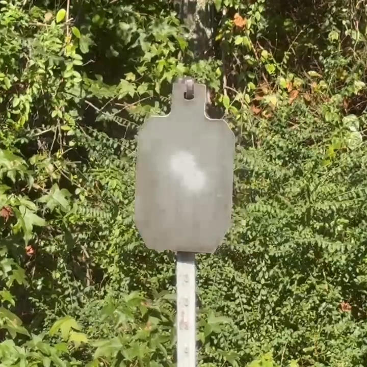 Portable AR500 Steel Shooting Target - IPSC IDPA Gong Base Stand, 1/4" X 7" X 12" For Practice