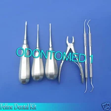 Feline Dental Kit Extraction Forceps Small Animal Dentistry Picks & Probes