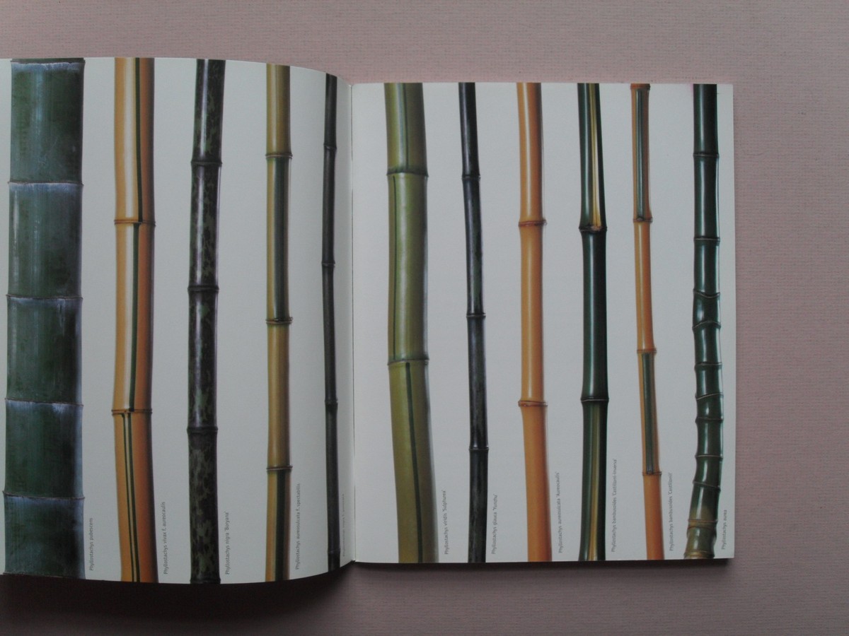 Bambus aus Baden-Baden by Wolfgang Eberts - Bamboo Catalog - Uncommon, 2004  | eBay
