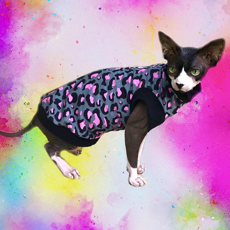 Handmade Clothing For Cats Sphynx Devon Rex Etc Clothes Jumpers Other Pet Services Gumtree Australia New South Wales Sydney Region 1250345891