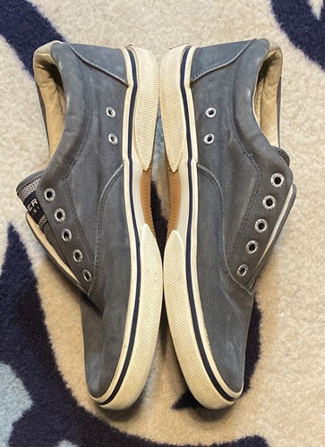 Sperry Top-Sider Men Slate Blue Cotton 