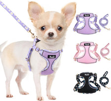 Puppy Harness and Leash Set - No Pull Adjustable Breathable Dog Harness, Dog Lea