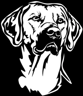 RHODESIAN RIDGEBACK Aufkleber -  Autoaufkleber - sticker - Ridgeback Kopf #72-W - Bild 1 von 3