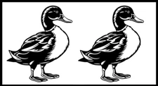 Mallard Duck - Black Vinyl Graphic Decal Car Truck Windows Laptop Notebook