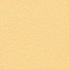 DECAdry Parchment Paper A4 95gsm Gold (Pack 100) - PCL1600