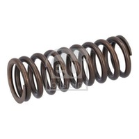 febi Bilstein Ventilfeder 187746 FüR DAF