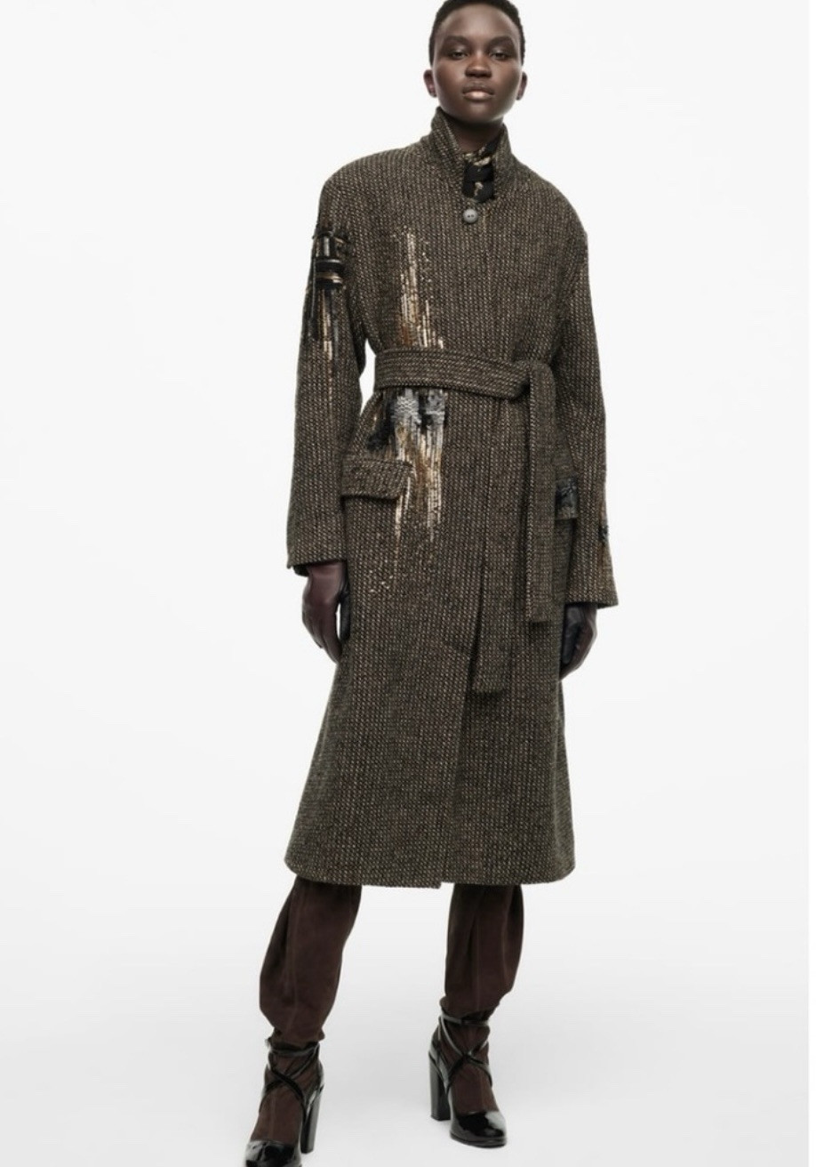 Zara Limited Edition Embroidered Sequin Oversized Coat With self belt (XS-S) image 4