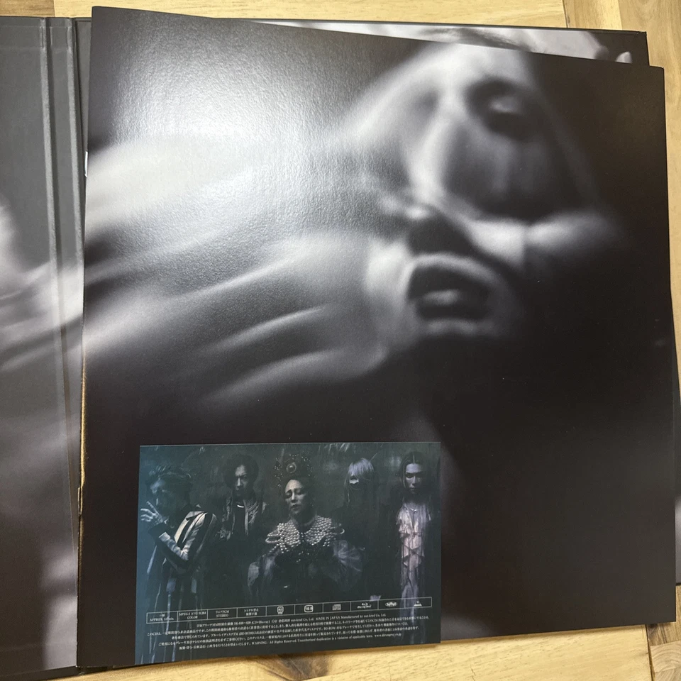 Dir En Grey – 落ちた事のある空 | Tour20 - Bild 3 von 4