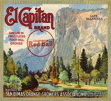 San Dimas El Capitan Yosemite #3 Orange Citrus Fruit Crate Label Art Print