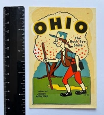 Vintage Original Fairway Mfg Co. Ohio The Buckeye State Water Slide Travel Decal