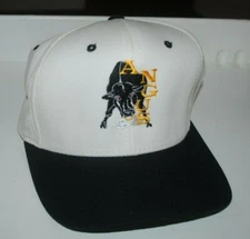 Shell Oil Angus Project Team cap, unused, adjustable