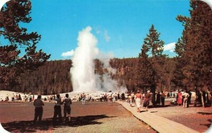 Postcard-Old-Faithful-Geyser-Yellowstone-National-Park-Wyoming