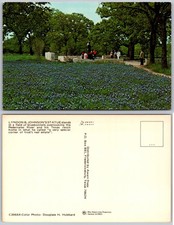 Granite Shoals Texas Lyndon B Johnson Statue Bluebonnets Postcard