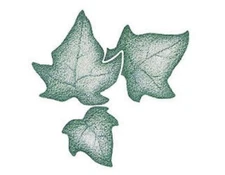 25 Grouped IVY Leaves WALLIES CUTOUTS