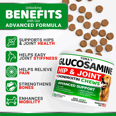 Glucosamine for Dogs Hip and Joint Supplement for Dogs 170 Chews Pain Relief Glucosamine for Dogs Hip and Joint Supplement for Dogs 170 Chews Pain Relief