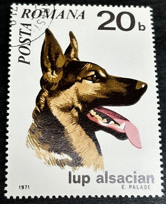 Romania Used Stamp - Dogs, 1971 - German Shepherd 20 b, SG 3788