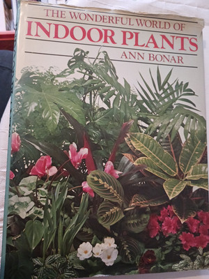 The Wonderful World Of Indoor Plants  Ann Bonar 50 Colour 