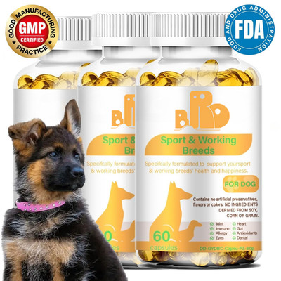 Advanced dog exercise supplements help improve athletic performance joint health