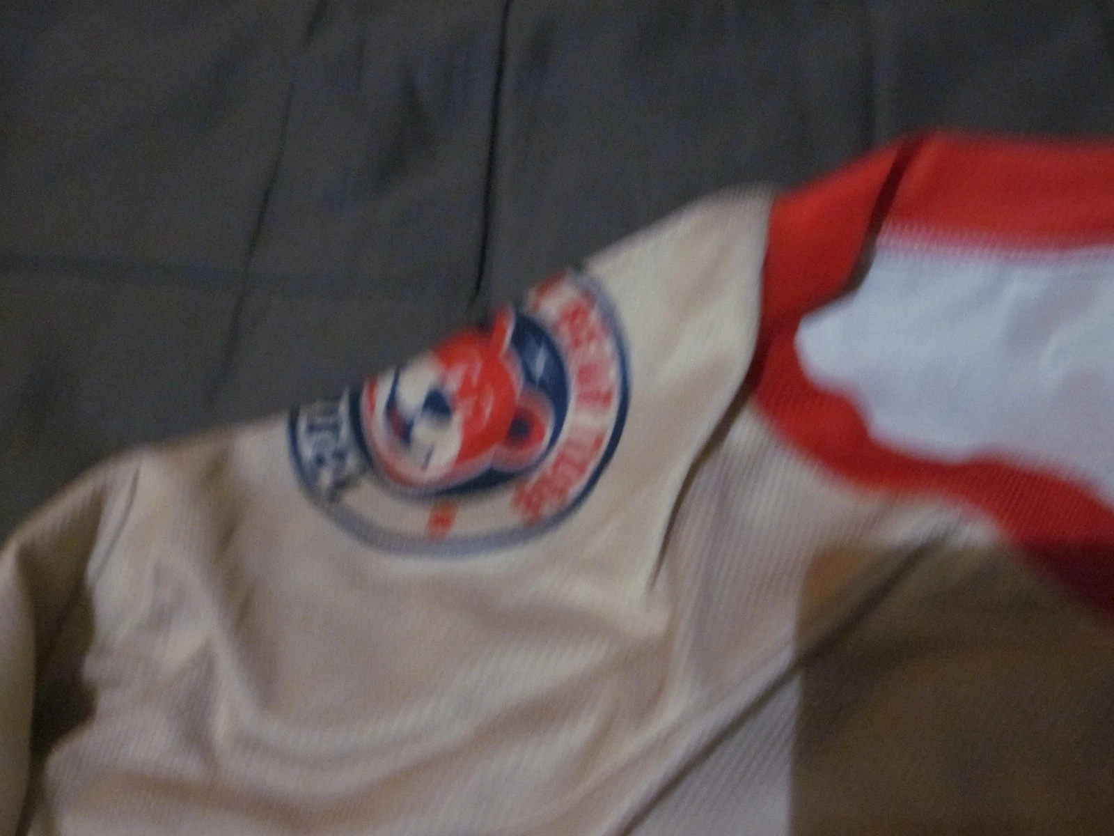 2025-2026 SPRINGFIELD THUNDERBIRDS TEAM SIGNED SGA JERSEY-26 GRAPHS-LUCIC-PECA