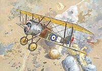 Roden 040 - Sopwith F.1 Camel Ww I - 1:72