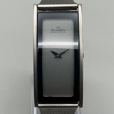 Skagen Womens Watch 22mm Gray Dial Mesh 2LTB Stainless  display picture 2