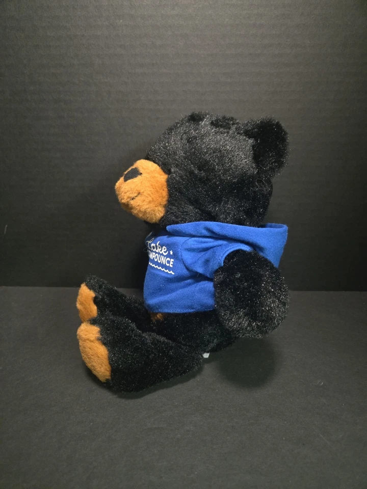 Fiesta Black Bear Plush 14" Stuffed Animal Toy Lake Compounce Removable Sweater - Image 2 of 4