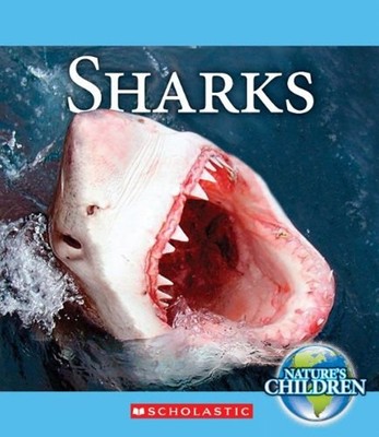 Sharks Library Binding Katie Marsico
