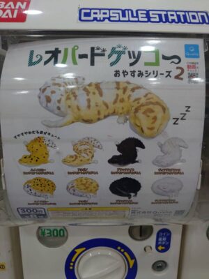 Leopard gecko good night 2 All 8 types set capsule toy figure