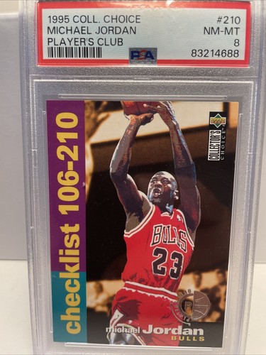 1995 Michael Jordan [Player's Club] #210