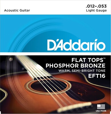 D'Addario EFT16 Flat Tops 12-53 Phosphor Bronze Light Acoustic Guitar Strings 