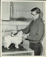 1960 Press Photo Dale Robbass grooms a dog - nei58203