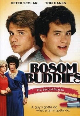 Bosom Buddies: Season 2, Very Good DVD, Donna Dixon, Telma Hopkins, Wendie Jo Sp