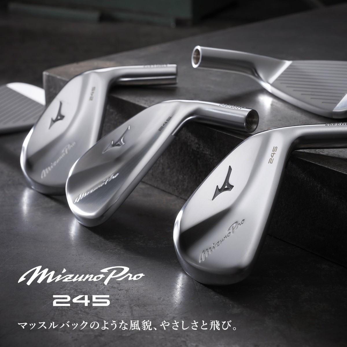 Mizuno Pro 245ウェッジ G DG95 S200 ミズノプロ245 Mizuno Pro 245 Iron Wedge Club GW 48° Dynamic Gold 95 Steel