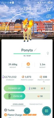 Ponyta ( Copenhagen Background  ) ( Candela Accessory ) Pokemon Trade  GO