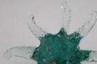 Bild 8 von 9