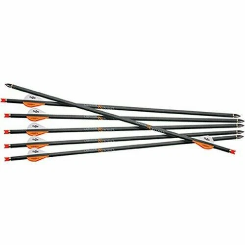 Crosman Complete Arrows for Archery